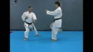 Bunkai - Wankan By Yuval Abergil