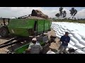 ensilaje en bolsa