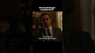 Im A Really Good Lawyer Always Hits