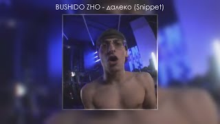 Bushido Zho - Далеко (Snippet) (Tiktok) / 03.05.2024 - На Всех Площадках