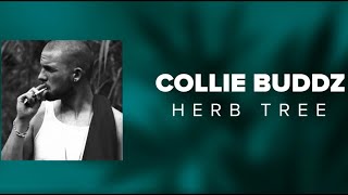 Watch Collie Buddz Herb Tree video