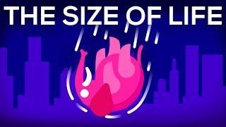 What Happens If We Throw An Elephant From A Skyscraper? Life & Size 1