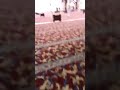 فديو لأول صلاة في جامع الامير مشعل الجديد