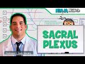 Neurology | Sacral Plexus