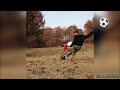 TOP 5 SOCCER FOOTBALL FAILS 😂 WEEK #126 2017