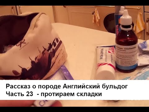 Рваные стрижки на средние волосы Прыщи во время беременности: как бороться эффективно