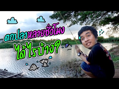 ปลาทะเลยังจัดมาแล้ว รอบนี้ขอลองตกปลาบ่อ