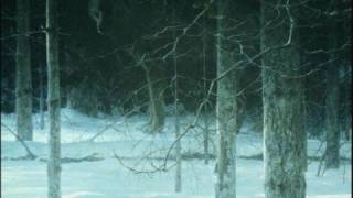 Watch Paradigma Come Winter video