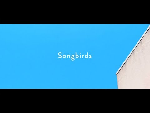 Homecomings - Songbirds（Official Music Video） (04月26日 23:00 / 9 users)