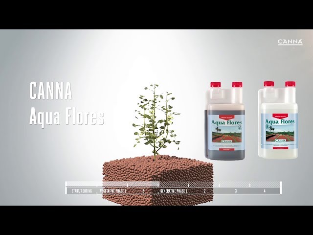 Watch (Deutsch) CANNA Aqua Flores on YouTube.