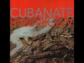 CUBANATE-Lord of the flies