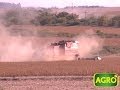 Terrazas, la soluci贸n para las c谩rcavas en campos entrerrianos. (#562 2014-05-10)