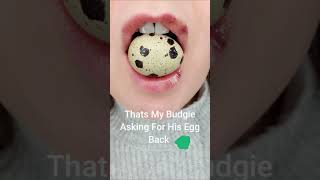 Asmr Crunchy Quail Egg Satisfying Sound