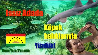 Part 2 Issız Adada Köpek Balıklarıyla Yüzdük San Blaspanama