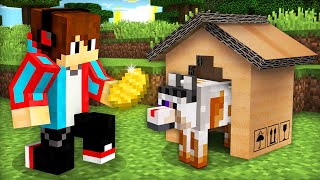 Это Самая Бедная Собака В Майнкрафт | Компот Minecraft