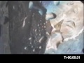 Falcon 1