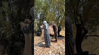 Sizce Dağınık Ev Temizlenir Mi?