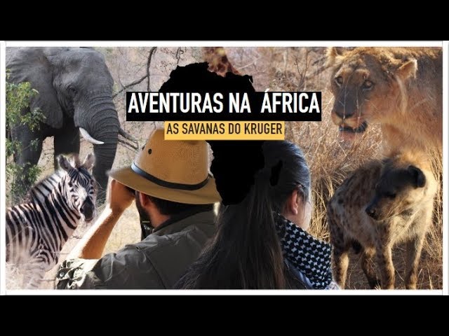 Aventuras na África: As Savanas do Kruger