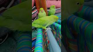 Subscribe