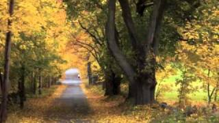 Watch Cheryl Wheeler When Fall Comes To New England video