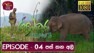 Sobadhara Rupavahini | 2019-03-22 | Elephant in Sri Lanka