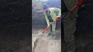 Теорія Дарвіна І Зсу
