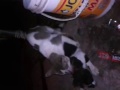 Ngintip Abg Ml images Ngintip Abg Ml