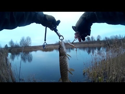 ловля щуки на озере ловля щуки на озере
