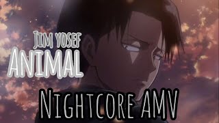 Nightcore Amv Levi Ackerman Animal - Jim Yosef X Riell Mia Tokisayo