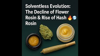 Solventless Evolution The Decline Of Flower Rosin & Rise Of Hash Rosin