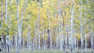 Watch Bob Dylan Time Passes Slowly video