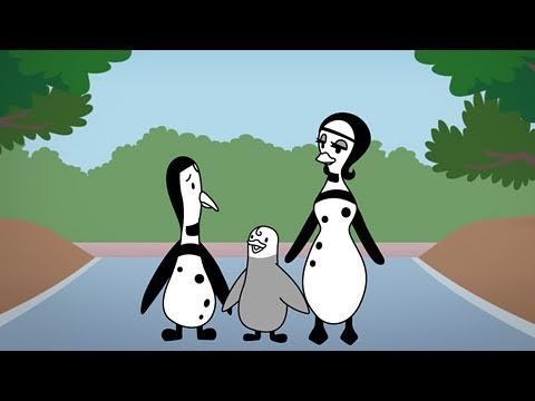 Hola! ペンギン・ヒルズ 第5話 - 憧れのペンギン・ヒルズ -