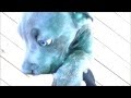 Rosie-Blu Dragon Cane Corsos