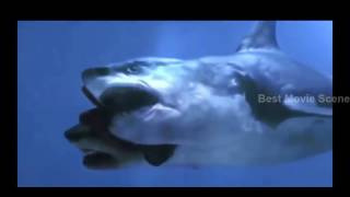 Best Movie Scene Hd 5 Headed Monster Shark Attack