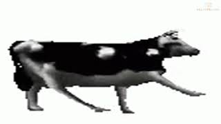 Dancing Polish Cow 10 Hours Dans Eden İneek