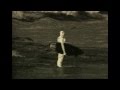 Her Last Wave