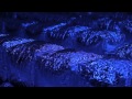 Rich Oddie - Quintessance - Against Your Will