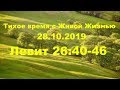 Тихое время с Живой Жизнью: Левит 26:40–46 (28102019)