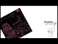 Picastro - Split Head