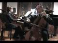 Martin Berteau's Sammartini Sonata for cello G major Movement 1