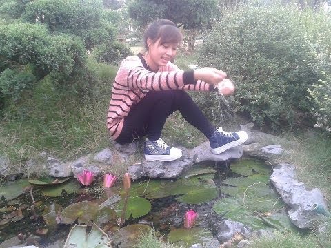 Tặng Cún Con _ chỉ là em giấu đi **(sub+effect)