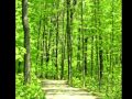 Akkor szép az erdő, mikor zöld, A népdalt énekli Onder Ágnes