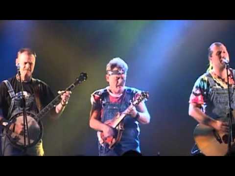 hayseed dixie fat bottom girls №167382 hayseed dixie fat bottom girls № 167381
