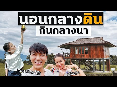 นอนบ้านไม้ปลายนา วิวหลักล้าน ราคาแค่พันเดียว เที่ยวสโลไลฟ์อ.ปัว | Roadtripเหนือ EP2 | IceBank Diary