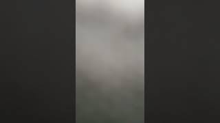 宝宝巴士中文, . Ve 台湾福音书房 Malezyaların Kardeşlerin 进入时候