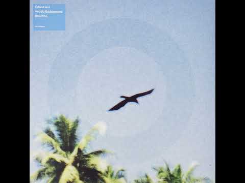 Orbital And Angelo Badalamenti – Beached (Long Version)
