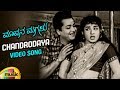 Mavana Magalu Kannada Movie Songs | Chandrodaya Video Song | Kalyan Kumar | Jayalalitha | Kannada