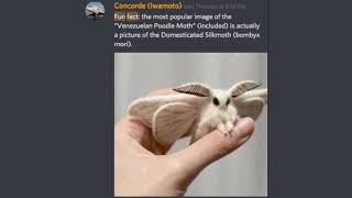 Fun Facts With Discord #7