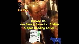 Reel Politik - The Writings Of Mike Gapes