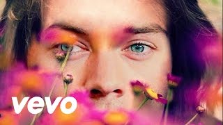 Watch Harry Styles We Found Love video